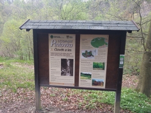 The Pintovka nature trail