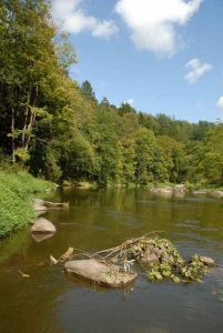 The River Lužnice