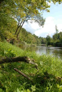 Der Fluss Lužnice