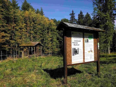 Pintovka nature trail