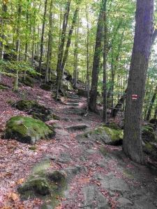 Pintovka nature trail