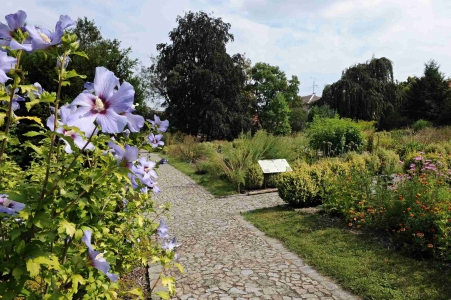 Botanischer Garten