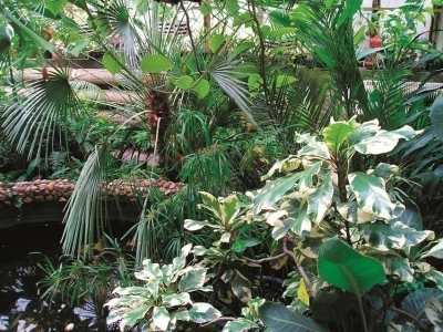 Tábor Botanical Garden