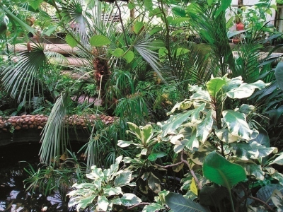 Botanischer Garten