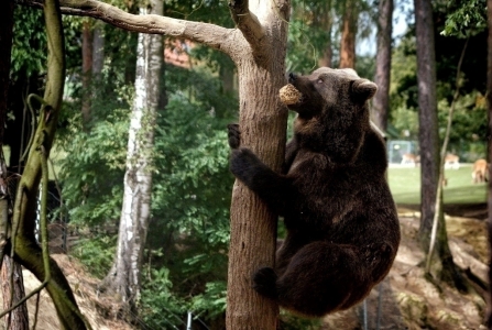 Tábor Zoo