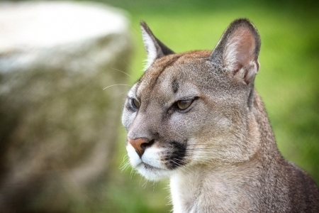 Tábor Zoo