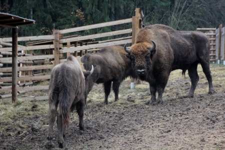 Tábor Zoo