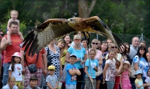 ZOO Tábor