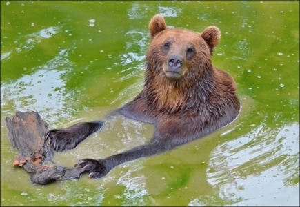 ZOO Tábor