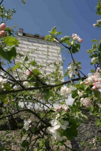 Water Tower