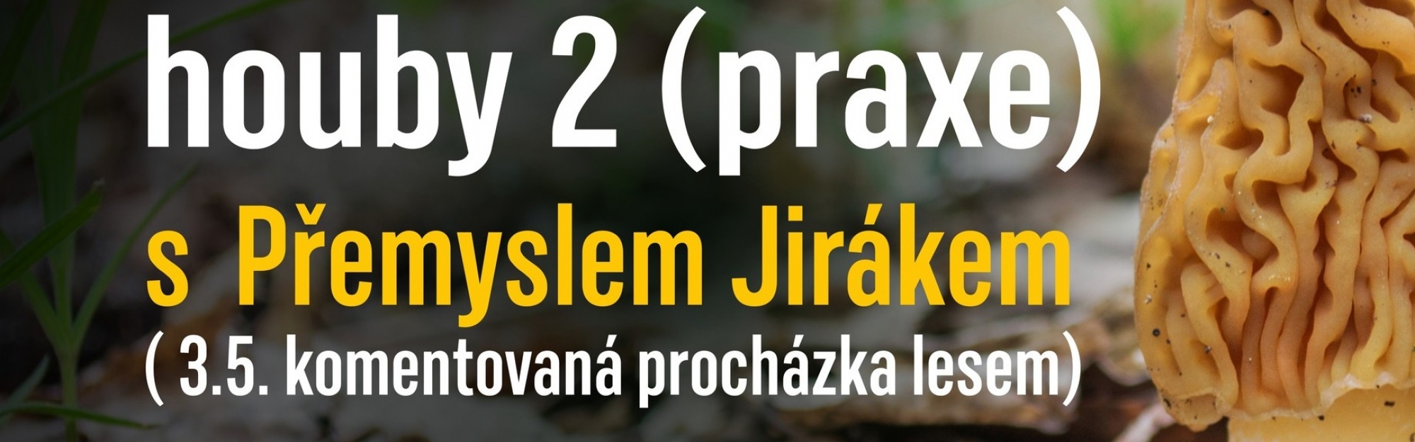 Druhý díl NA VLNĚ Tábor s českými mediciálními houbami!