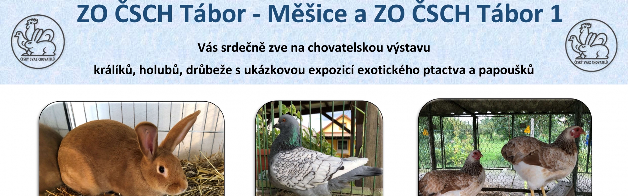 Táborská  chovatelská výstava drobného zvířectva