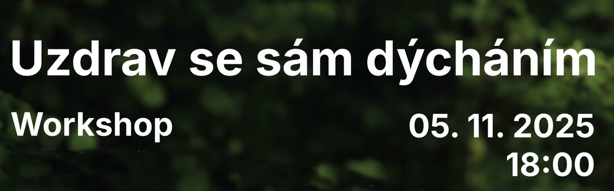 Uzdrav se sám dýcháním workshop