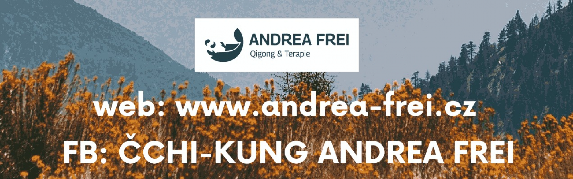 Praktický seminář čchi-kung pro širokou veřejnost