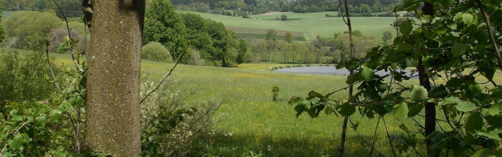 Naučná stezka Nadějkovsko