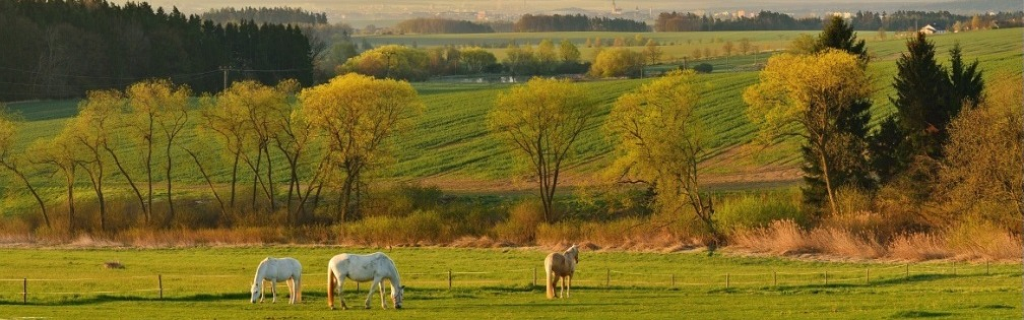 Turistická oblast Toulava