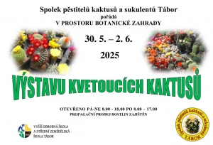 Plakát