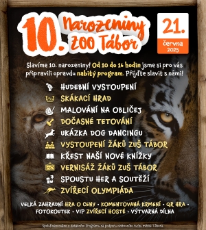 Plakát