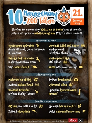 Plakát