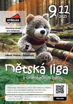 Plakát