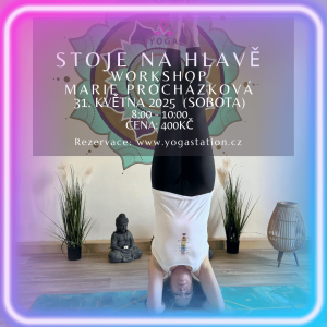 Plakát