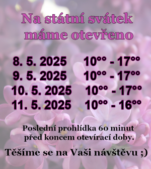 Plakát