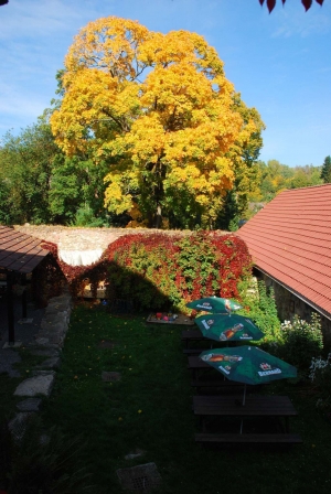 Gasthaus und Pension U Rezků