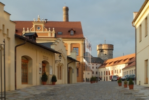 LH Hotel Dvořák Tábor ****