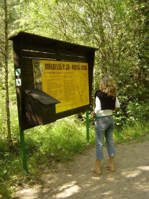 Naturlehrpfad Borkovice-Sumpfland (Borkovická blata) - 5,5 km