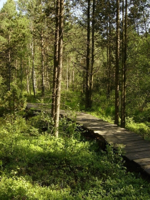 Naturlehrpfad Borkovice-Sumpfland (Borkovická blata) - 5,5 km