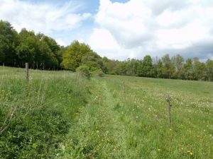 Nadějkov Educational Path (13.5 km)