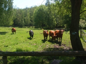 Nadějkov Educational Path (13.5 km)