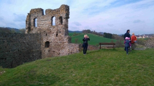 Starý zámek (Altes Schloss) bei Borotín - Burgruine