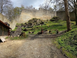 Choustník - castle ruins with a lookout tower