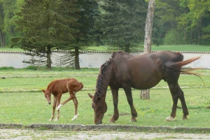 Nature Museum Semenec