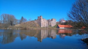 Starý zámek (Altes Schloss) bei Borotín - Burgruine