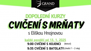 Cvičení s mrňaty