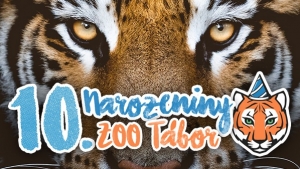 10. narozeniny ZOO Tábor