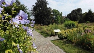 Komentované prohlídky botanické zahrady