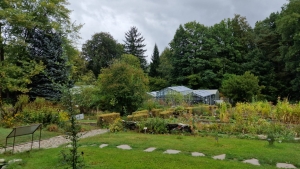 Hudební podvečery v botanické zahradě