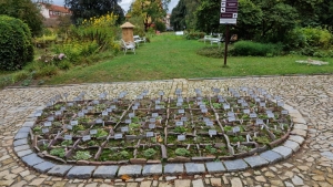 Hudební podvečery v botanické zahradě