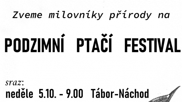 Podzimní ptačí festival v Táboře