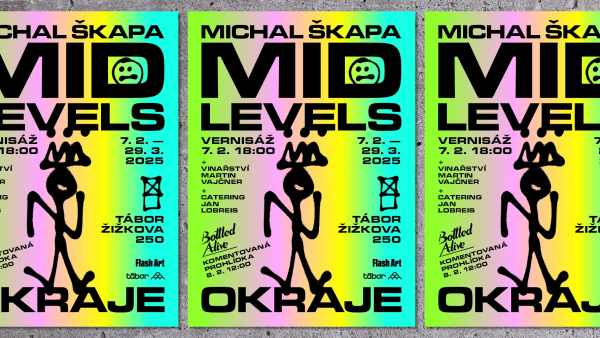 Výstava Michal Škapa / MID LEVELS