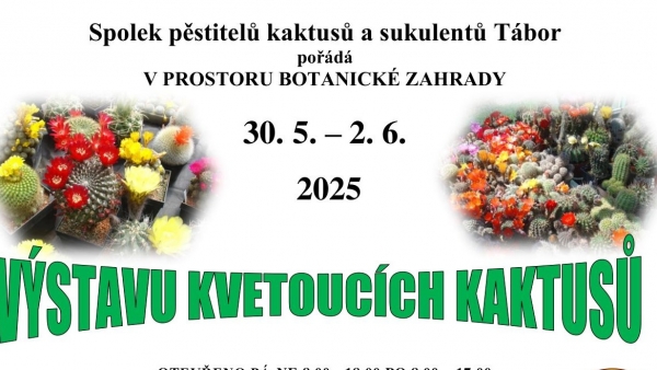 Výstava kvetoucích kaktusů