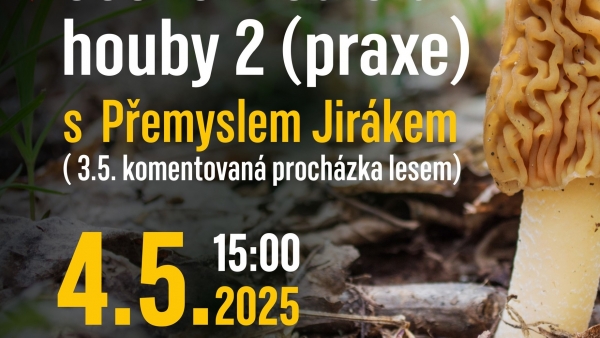 Druhý díl NA VLNĚ Tábor s českými mediciálními houbami!