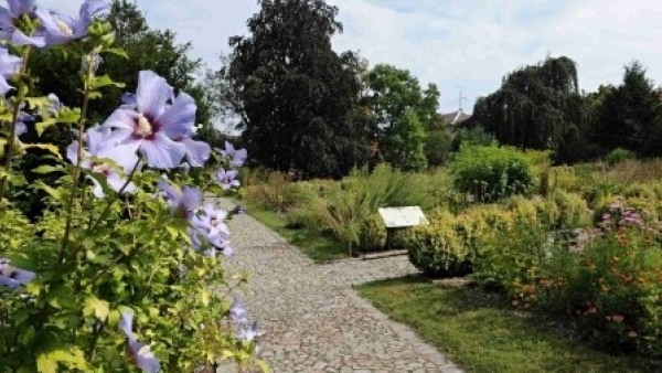 Komentované prohlídky botanické zahrady