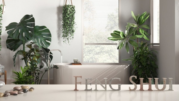 Feng-Shui a vstupní prostory našich domovů