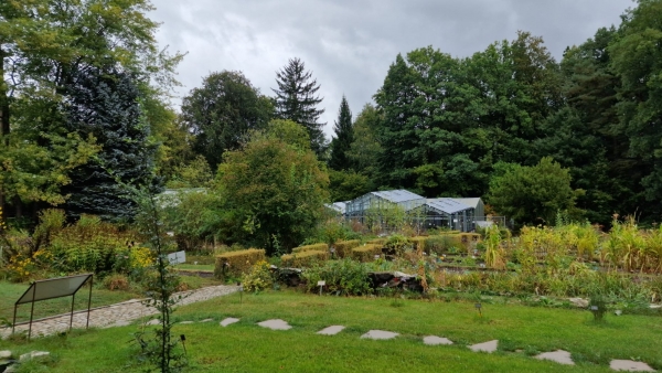 Hudební podvečery v botanické zahradě