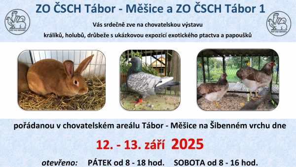 Táborská  chovatelská výstava drobného zvířectva