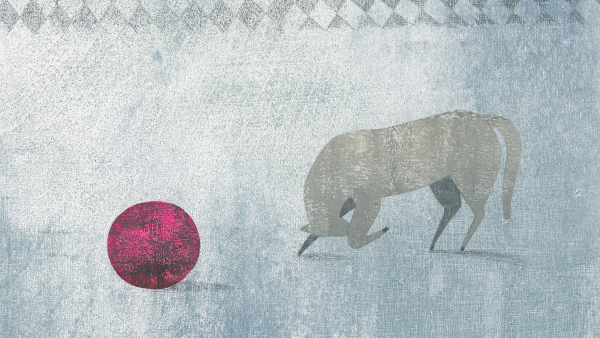 Andrea Tachezi | Menagerie